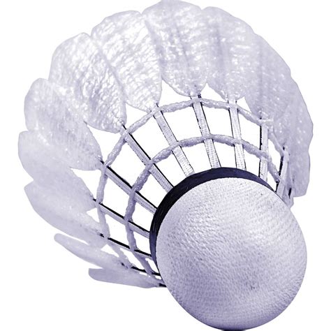 Tube Volants Plumes Badminton Victor Carbonsoinc N