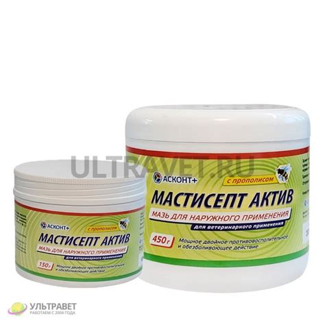 Мастисепт Актив мазь: инструкция по применению, цена - 708 руб.