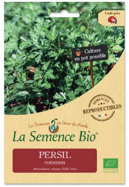 Graines Persil Commun Bio La Semence Bio Terre Vivante