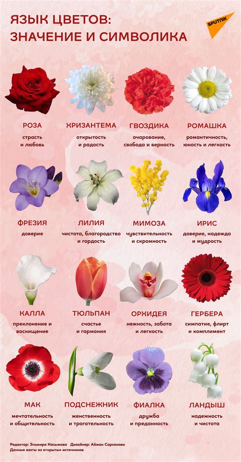 Тайное значение цветов. Какой букет подарили вам?