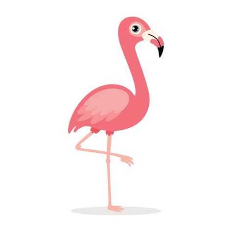 Cartoon Drawing Of A Flamingo 13536996 Vector Art at Vecteezy