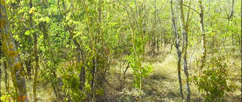 Lady Alice Compilation 09 Endless Wild Passion Mesmerize Version Shemale Porn XHamster