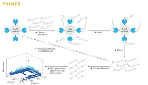 药明康德HitS事业部等在Nature Reviews Methods Primers发表DEL引领性综述 知乎