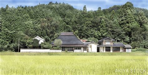 akiya stock