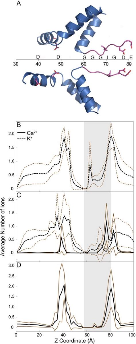 Figure From A Structural Model Of The Pore Forming Region Of The