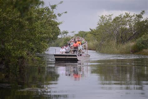 Tourist Enjoying An Airboat Tour Across The Almond Hill Lagoon