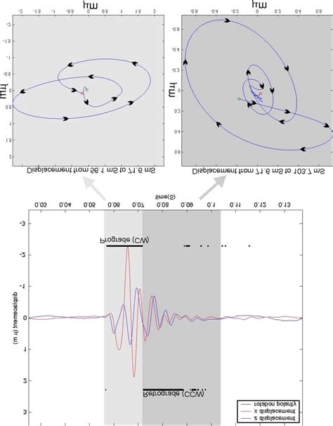 particle motion measured   field site  scientific diagram