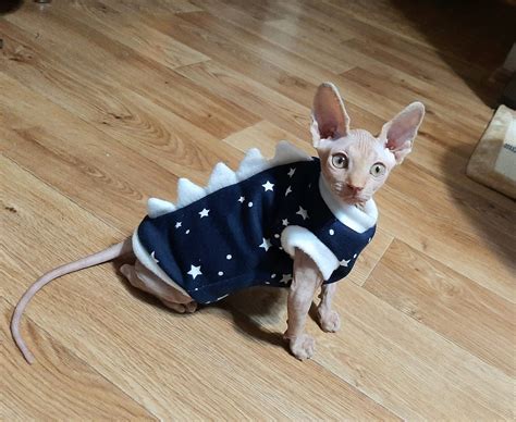 cat dinosaur costume