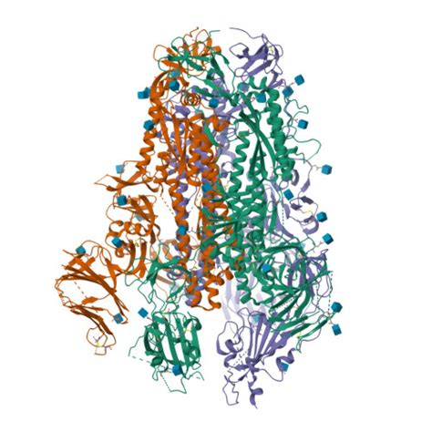 Rcsb Pdb Tyl Structural And Biochemical Rationale For Beta Variant