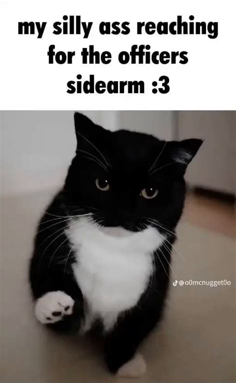 My Silly Ass Reaching For The Officers Sidearm Ifunny