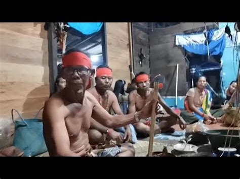 Suku Dayak Kalteng Ritual Kanjan Patahu Tiwah Desa Tumbang Marak