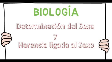 Herencia Ligada Al Sexo Biología 4º Eso Youtube