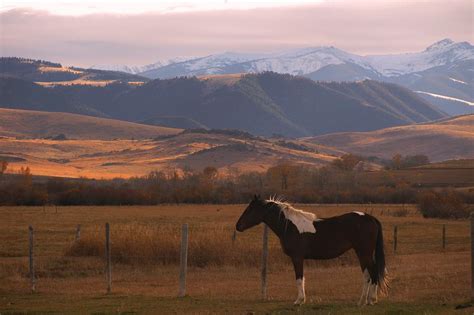 Montana Landscape Photograph by Thomas LePoidevin