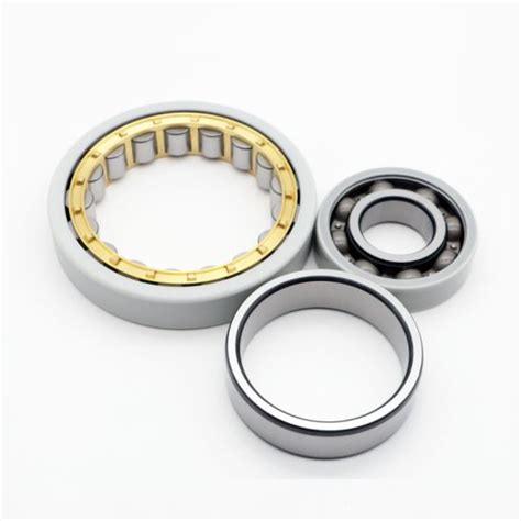 Insocoat Electrically Insulated Cylindrical Rolling Bearings Nu Ecm