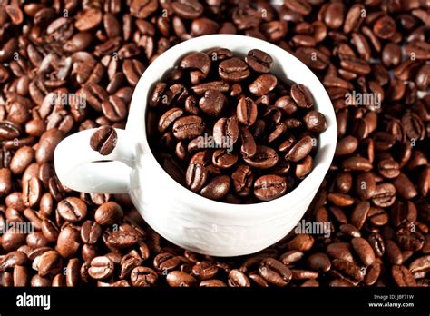 life glass stock photo alamy