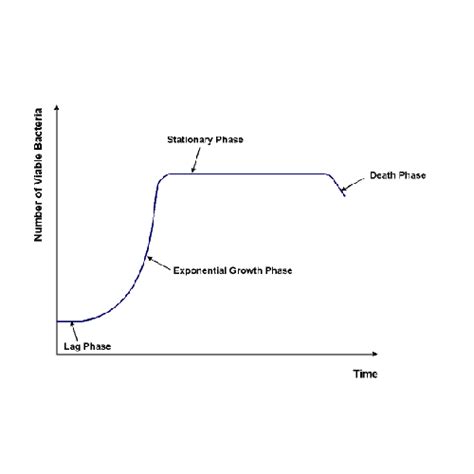 Bacterial Culture & Growth Study