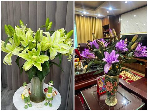 Th M M T Lo I Hoa Hot Trend T T Nguy N N M U P L V H P Phong Th Y N M R Ng H Ng V