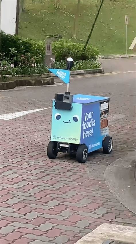 Delivery Rider Challenges Cute NTU Foodbot To A Fight For His Rice