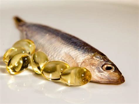 Болезнь почек у кошек: симптомы и лечение. Проблемы с почками у кошек ...