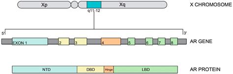 Ijerph Free Full Text Different Clinical Presentations And