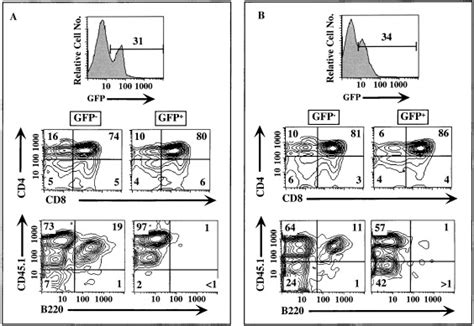 Subversion Of The T B Lineage Decision In The Thymus By Lunatic Fringe