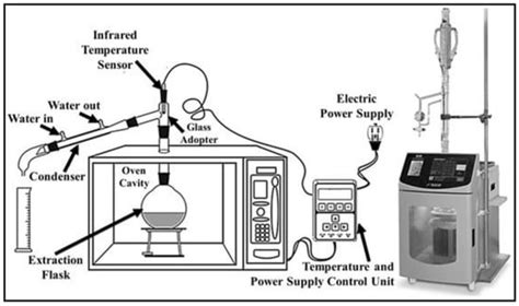 conventional  emerging extraction processes  flavonoids