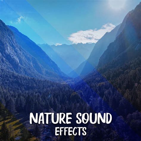 Nature Sound Effects Album by Música de la Naturaleza Spotify