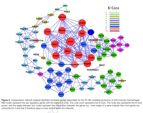 Dou H Et Al A Novel Benzenediamine Derivate Rescued Mice From