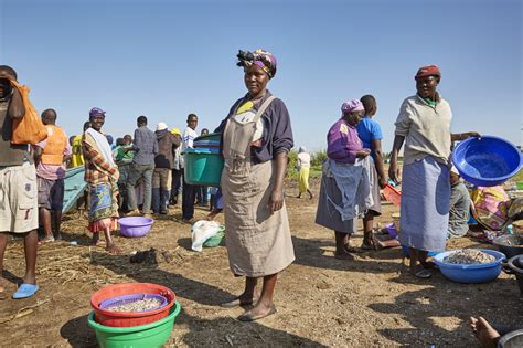 The Women Of No Sex For Fish Had Amazing Success Then Came Floods And Covid Goats And Soda