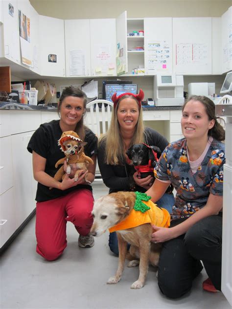 knoxville animal clinic 2