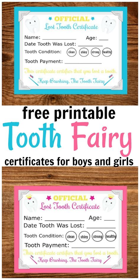 Tooth Fairy Letter Template Boy Free Infoupdate Org