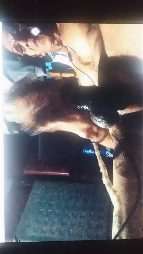 Masturbatie Gay Pornovideo S XHamster