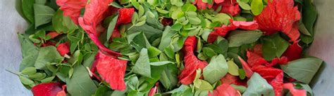 Health Food Pachamama Vegetarian And Raw Food