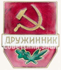 Знак «Дружинник»