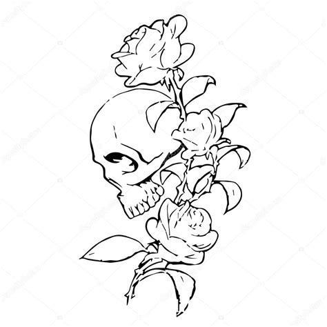 Skull With Roses On A White Background Skull Icon Skull Logo Skull