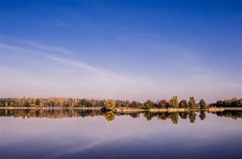 Kostenlose Foto Landschaft Baum Wasser Natur Horizont Sumpf