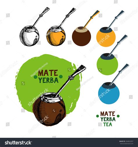 Mate Tea Illustration Set Stock Vector 284852957 Shutterstock
