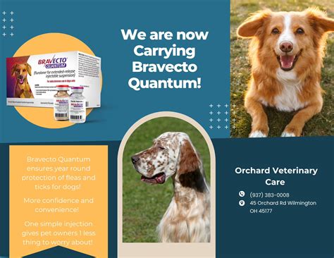 Pet owners are raving about the vet orchard park staff 2