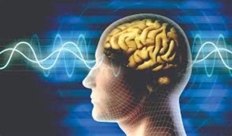 Historia Neurociencia Timeline Timetoast Timelines