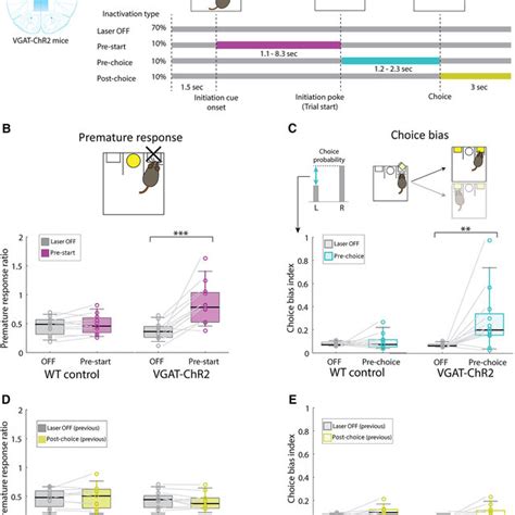 Interneuron Mediated Mpfc Inactivation Impairs Impulse Control And