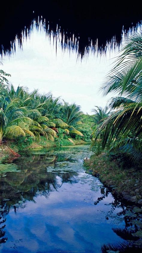 Yucatán Peninsula Wallpapers Wallpaper Cave