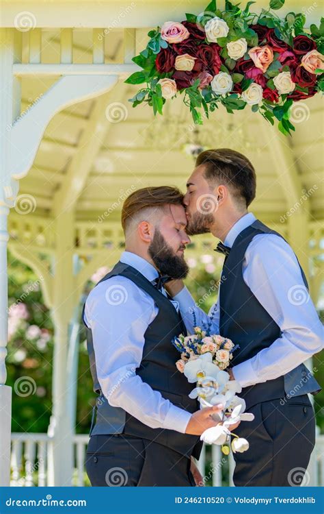 Male Homosexuality Symbol Gay Glyph Doubled Male Sign Royalty Free Stock Image Cartoondealer