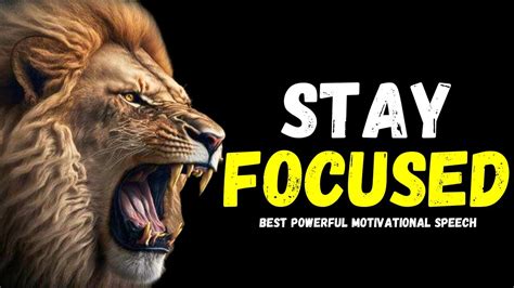 Stay Focused Steve Harvey Joel Osteen Jim Rohn Les Brown