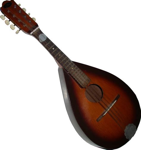 Mandoline (instrument) - Wikiwand