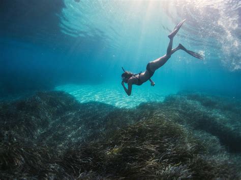 Discovering Puerto Rico The Best Beaches To Snorkel On Your Next Vacation