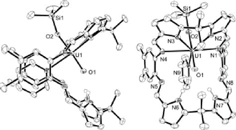 Figure 1 From Oxo Group Protonation And Silylation Of Pentavalent