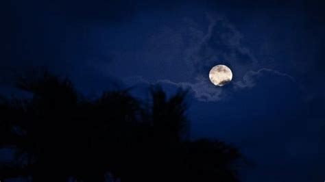 Langka Super Blue Moon Baru Akan Terlihat Lagi Pada 2037