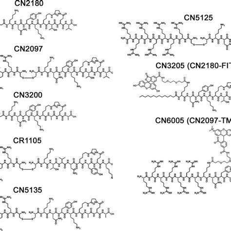 Chemical Structures Of PSD 95 PDZ Binding Peptidomimetic Control And