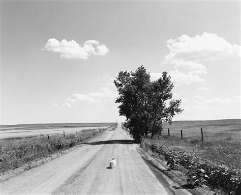 Черно Белая Фотография Пленка — Картинки фотографии