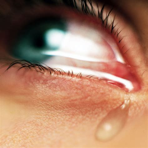 cry  psychology  tears yonason goldson